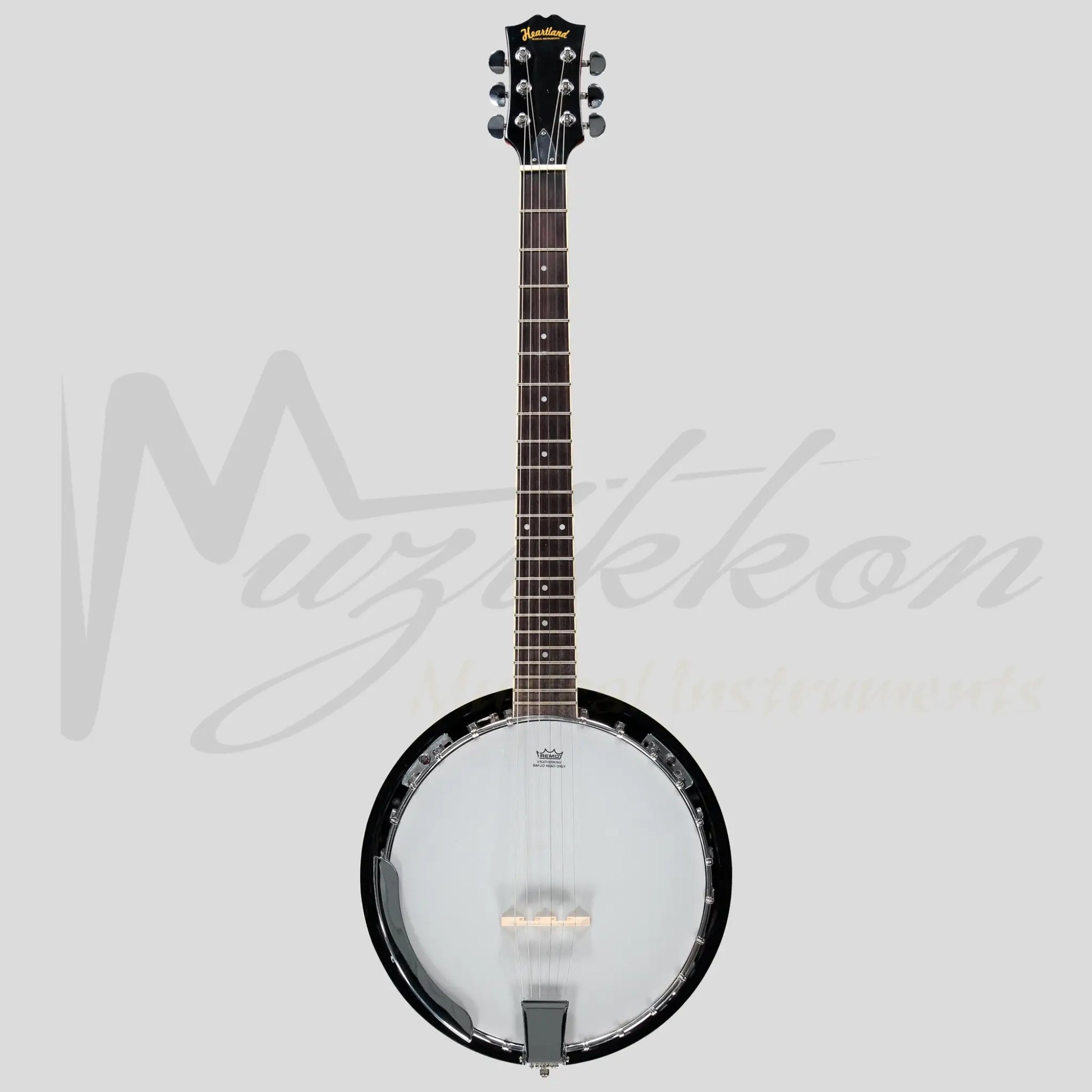 Heartland 6 String Guitar Banjo Solid Back Irish Banjo