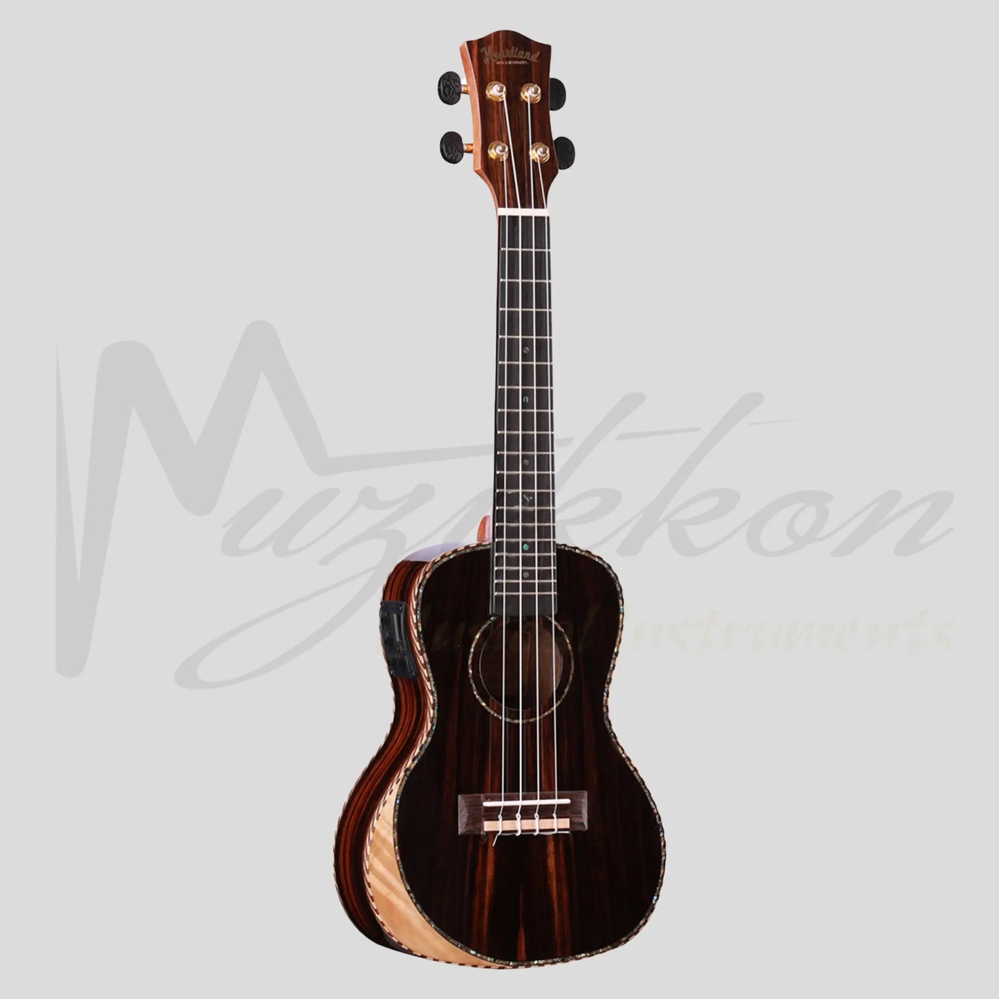 Heartland Concert Ukulele Ebony With Eq