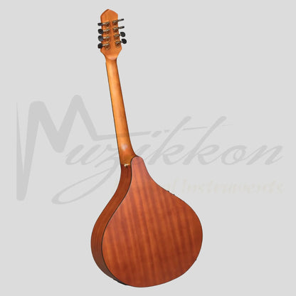 Heartland Irish Bouzouki Deluxe Sapele With Eq Cedar Top