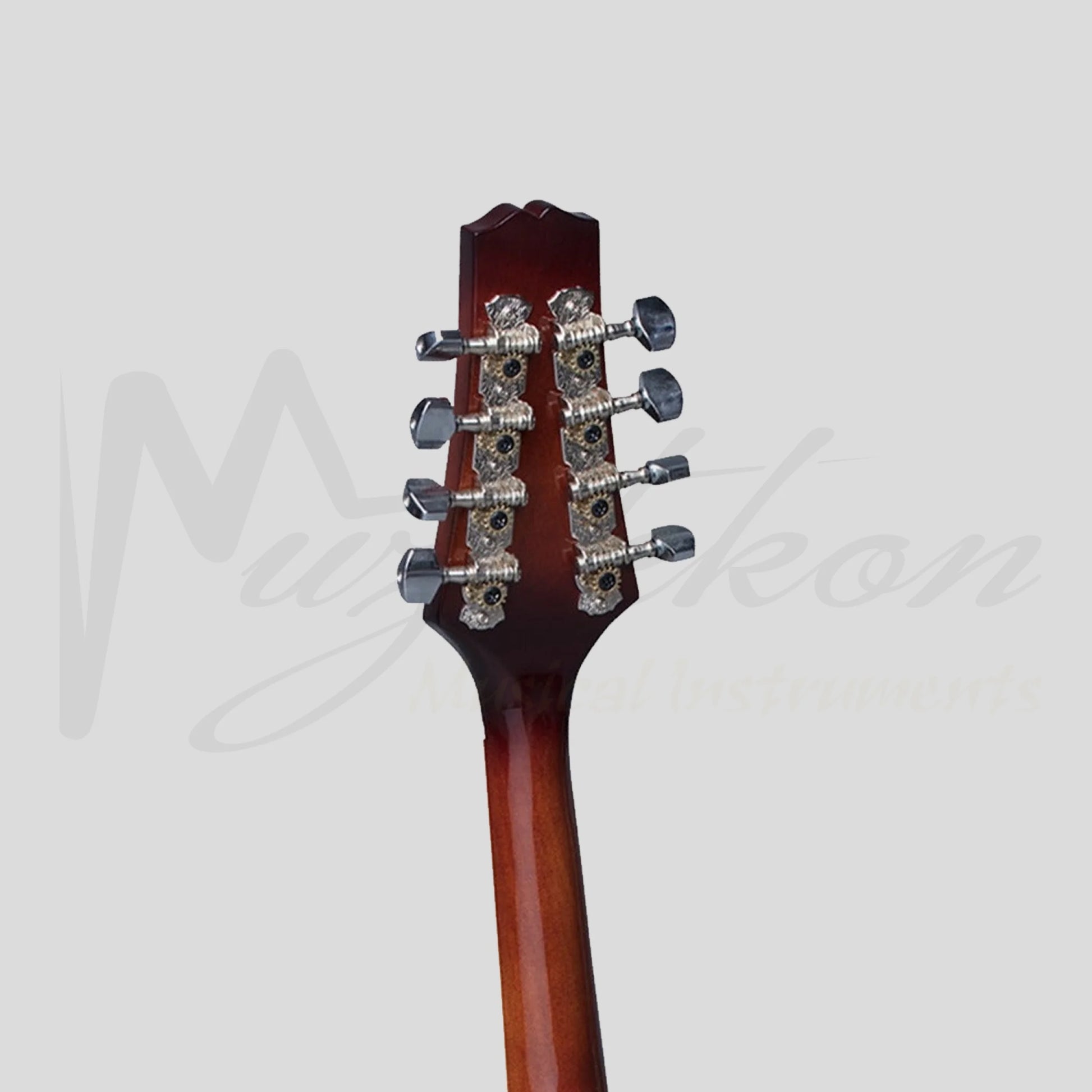 Heartland Mandolin Linden Acoustic Matt Finish