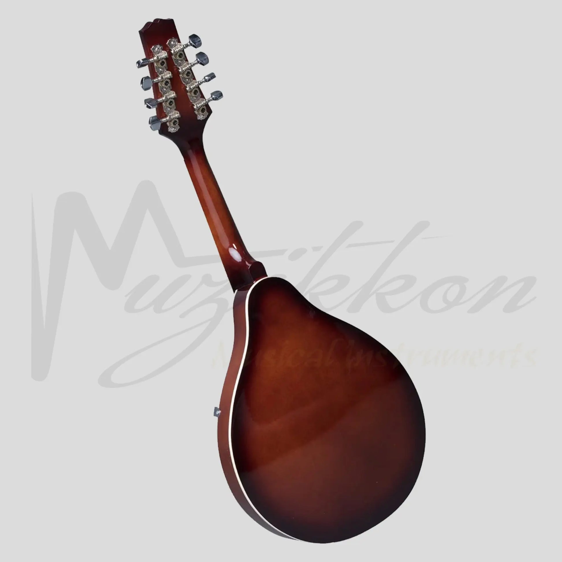 Heartland Mandolin Linden Acoustic Matt Finish