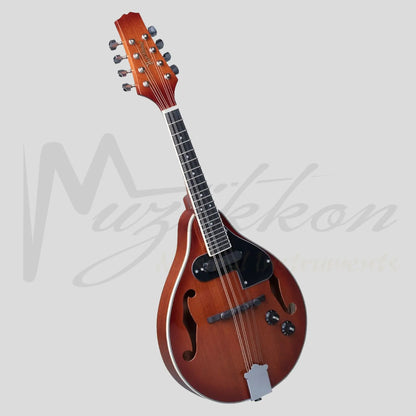 Heartland Mandolin Mahogany Electro Acoustic Gloss Finish