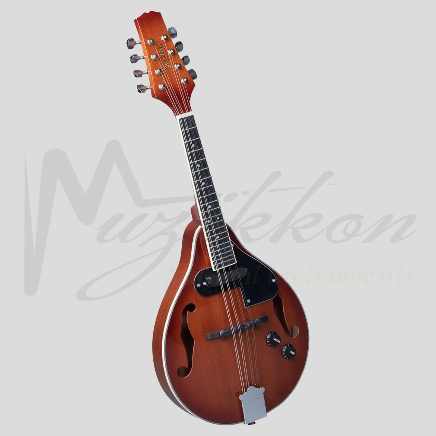 Heartland Mandolin Mahogany Electro Acoustic Gloss Finish