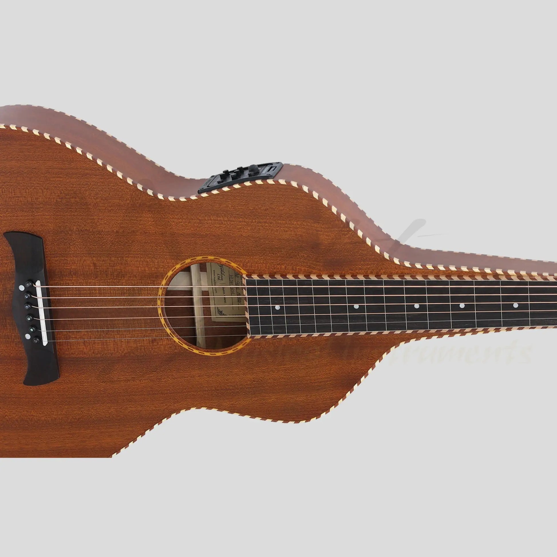 Heartland Weissenborn Guitar - The Stage Master