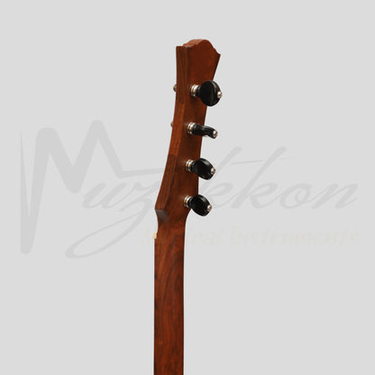 Heartland Wildwood Dulcimer Banjo 4 String