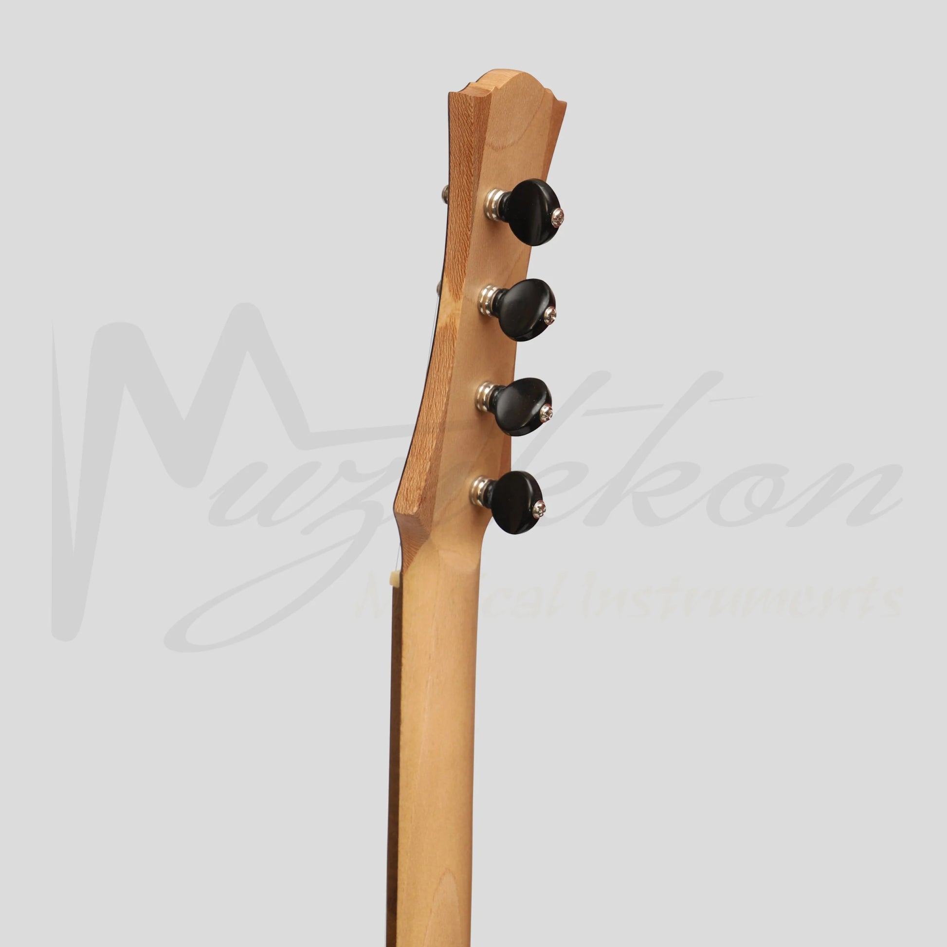 Heartland Wildwood Dulcimer Banjo 4 String