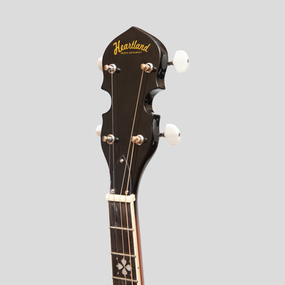 Heartland 4 Saiter 17 Bünde Irish Tenor Banjo Linkshänder Player Serie mit geschlossenem Solid Back Sunburst Finish