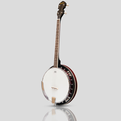 Heartland 4 Corde Banjo 19 tasti Irish Tenor Banjo 24 Staffa con schienale solido chiuso