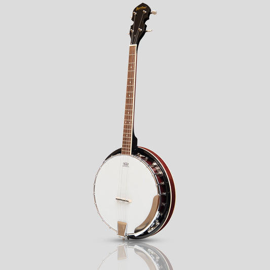 Heartland 4 String Banjo 19 Frets Irish Tenore Banjo Mano Sinistro 24 Staffa Con Schiena Solida Chiusa