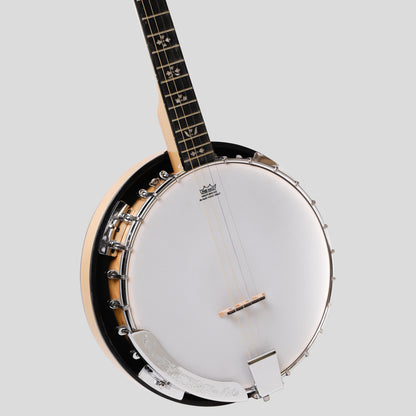 Heartland Deluxe Irish tenore Banjo 19 Frets con 24 staffa e finitura in acero solido chiuso