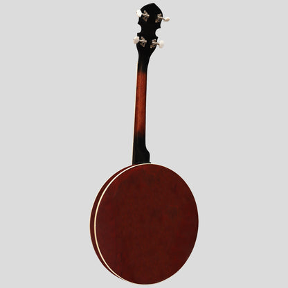 Heartland 4 Corde Banjo Chiuso Solido Schienale 17 Fret, 4 Corde Irish Tenor Banjo Scala corta