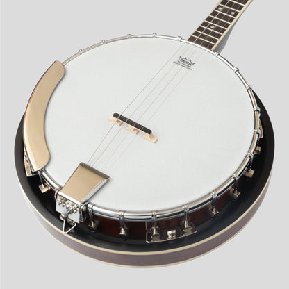 Heartland 4 Corde Banjo Chiuso Solido Schienale 17 Fret, 4 Corde Irish Tenor Banjo Scala corta