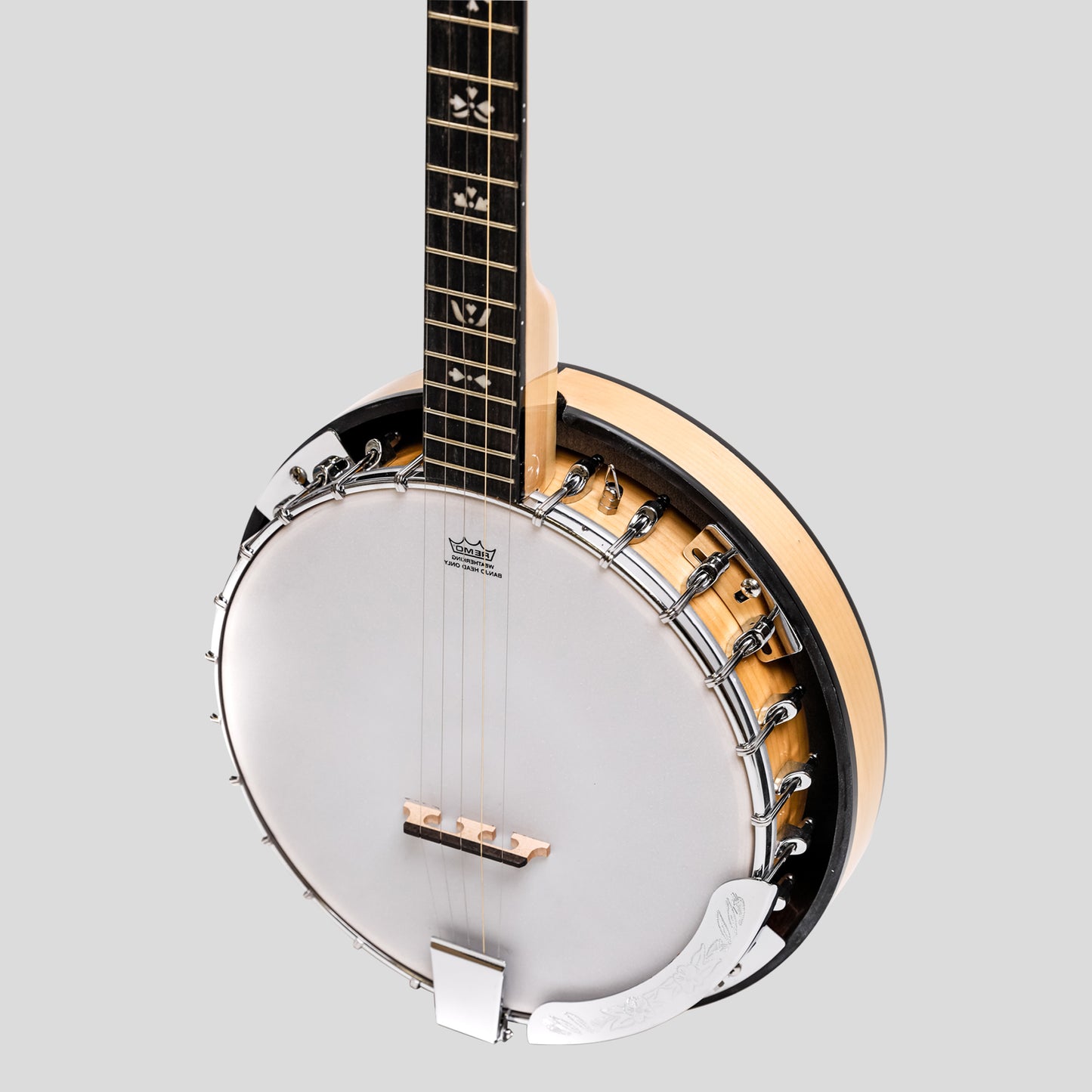 Heartland 5 corde Deluxe banjo irlandese con 24 staffa con finitura in acero posteriore solido chiuso