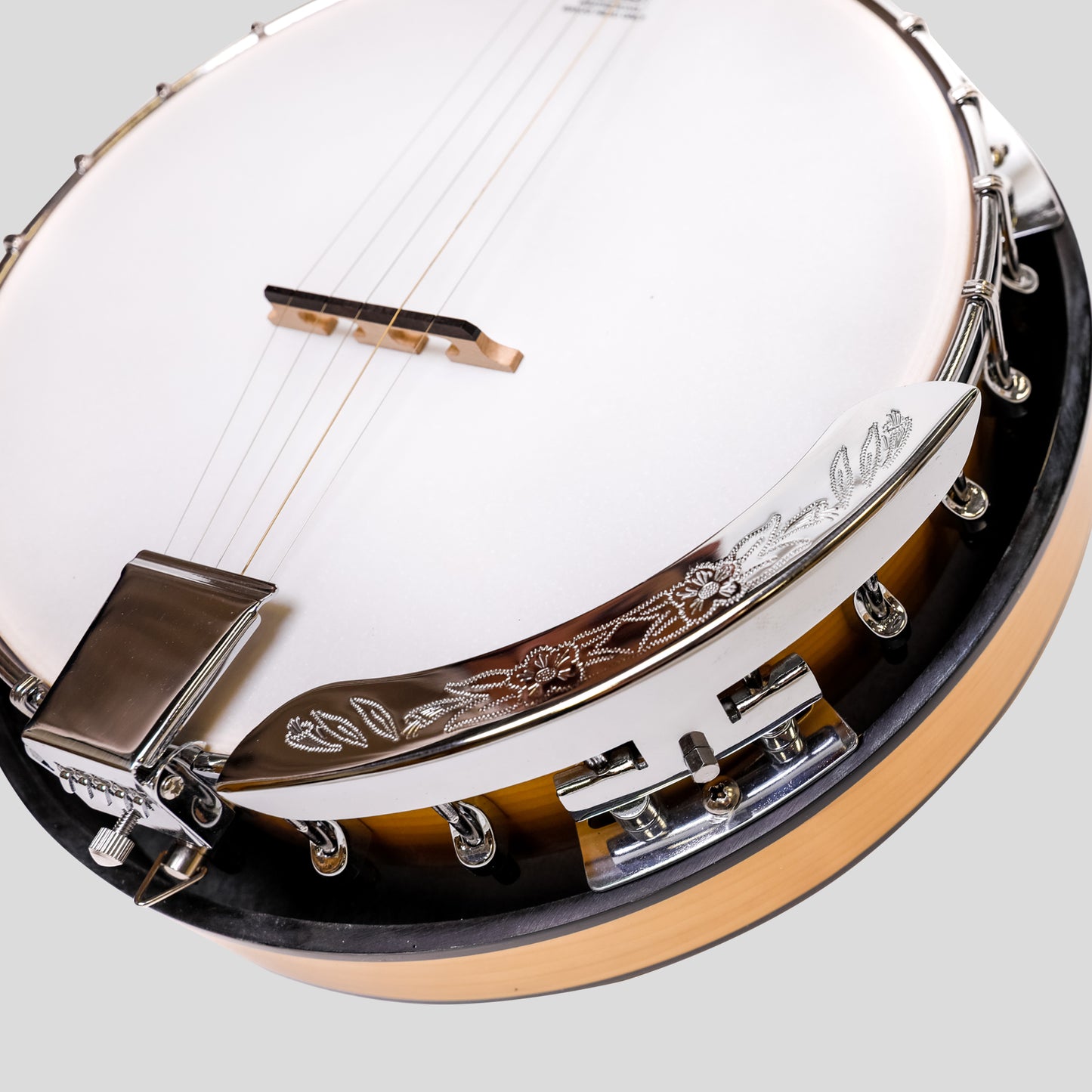 Heartland 5 corde Deluxe banjo irlandese con 24 staffa con finitura in acero posteriore solido chiuso