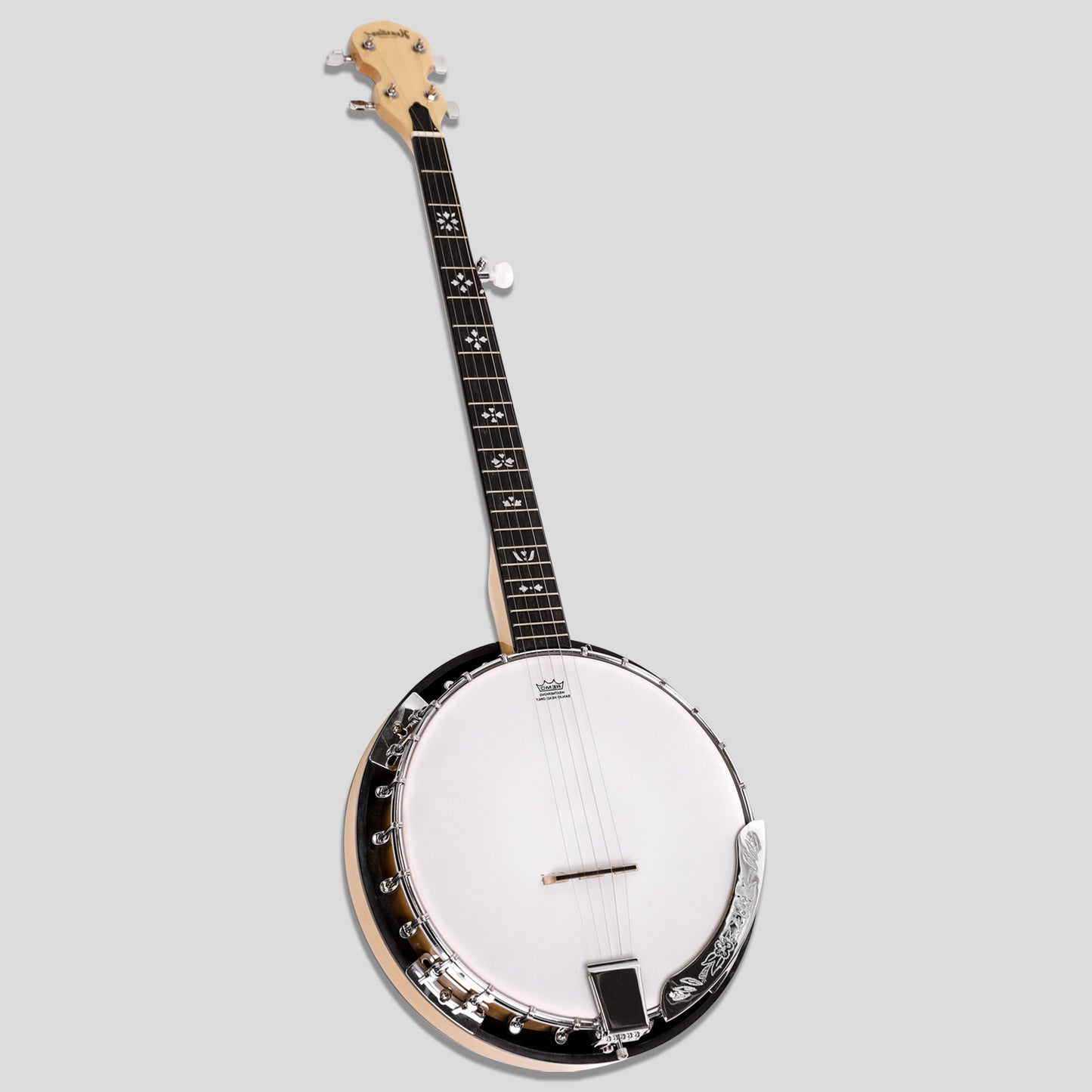 Heartland 5 corde Deluxe banjo irlandese con 24 staffa con finitura in acero posteriore solido chiuso