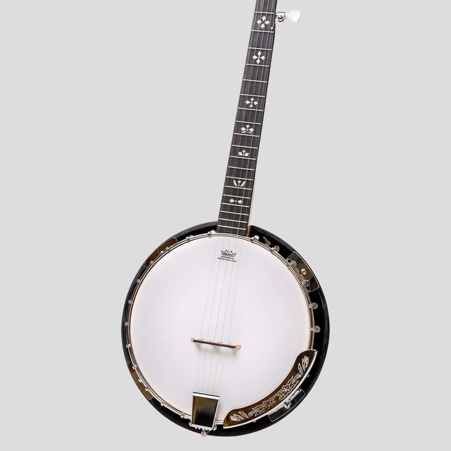 Heartland 5 corde Deluxe banjo irlandese con 24 staffa con finitura in acero posteriore solido chiuso