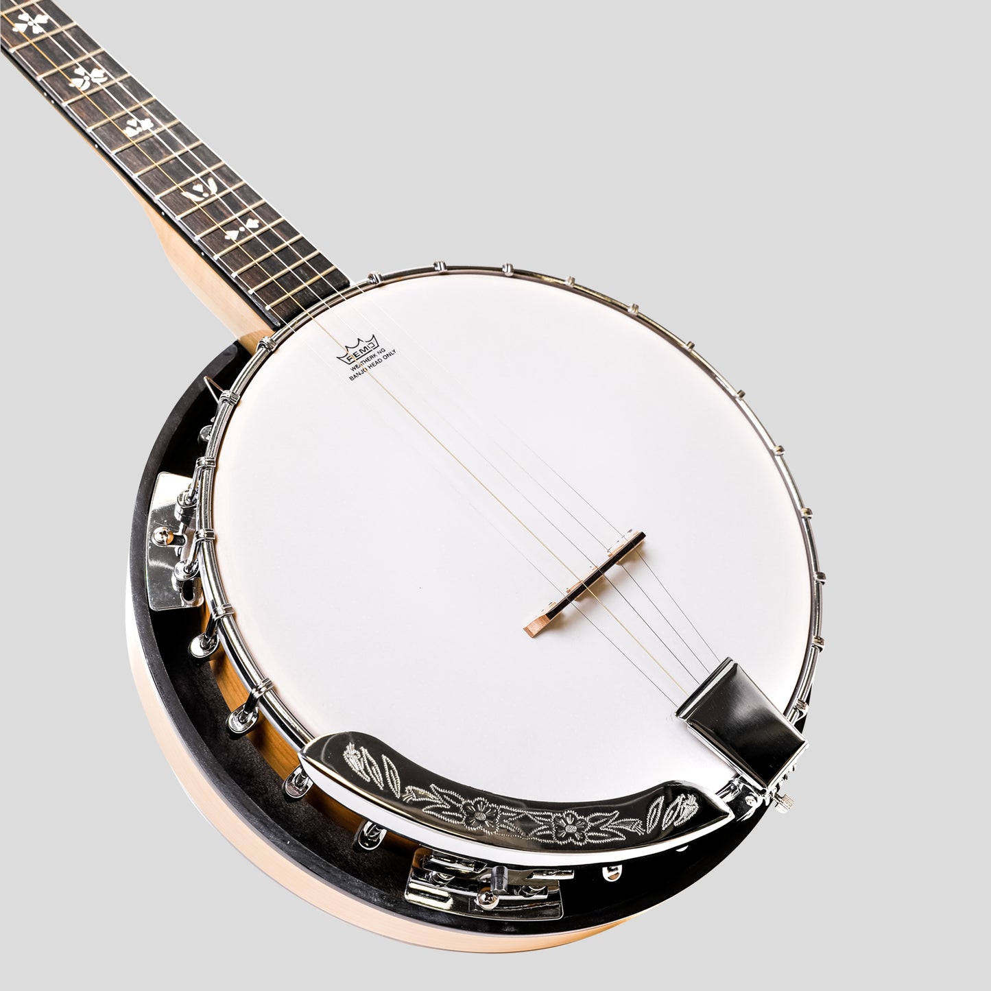 Heartland 5 String Deluxe Irish Banjo 24 Bracket con finitura in acero solido chiuso