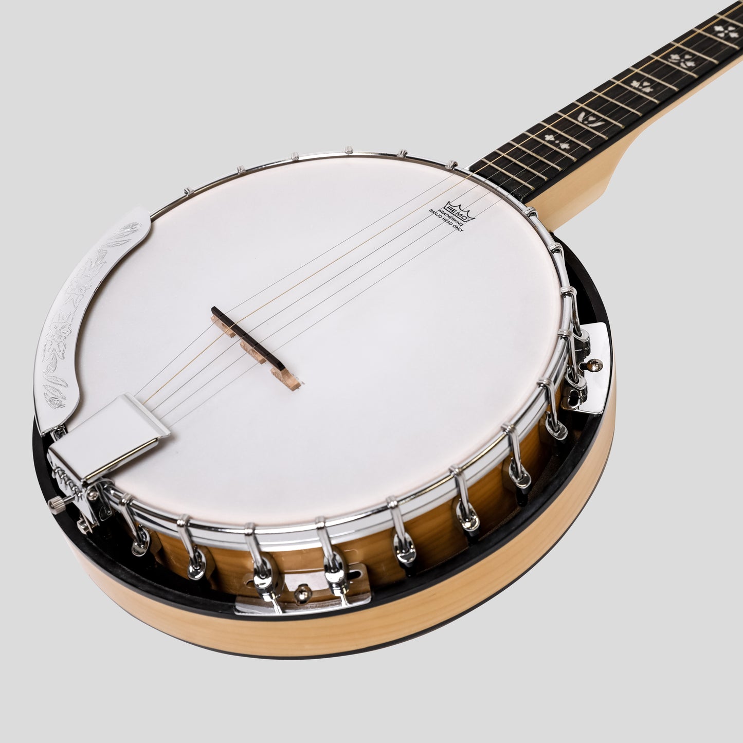 Heartland 5 String Deluxe Irish Banjo 24 Bracket con finitura in acero solido chiuso