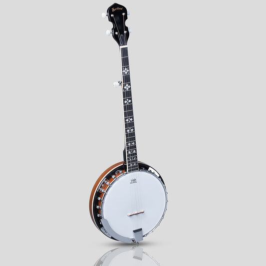 Heartland 5 corde Irish Banjo Player Series 24 staffa con finitura Solid Back Sunburst chiuso