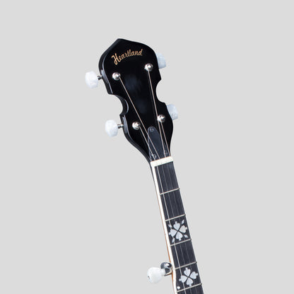 Heartland 5 corde Irish Banjo Player Series 24 staffa con finitura Solid Back Sunburst chiuso