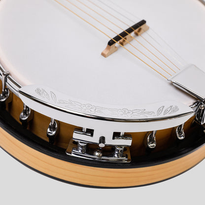 Heartland 6 corde Deluxe banjo irlandese 24 staffa con finitura in acero solido chiuso