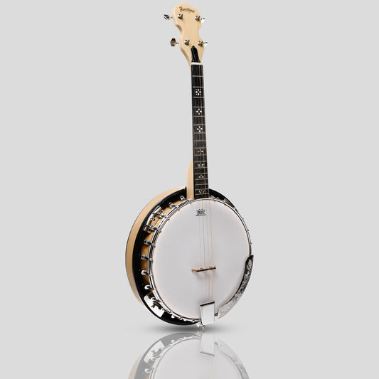 Heartland Deluxe Irish Tenor Banjo 17 tasti mancini 24 staffe chiuse Solido retro Acero finitura