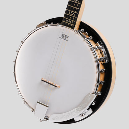 Heart land Deluxe Irish Tenor Banjo 17 Büste Linkshänder 24 Klammer geschlossen Solid Back Ahorn Finish