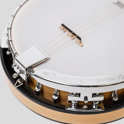 Heartland Deluxe Irish Tenor Banjo 17 tasti mancini 24 staffe chiuse Solido retro Acero finitura