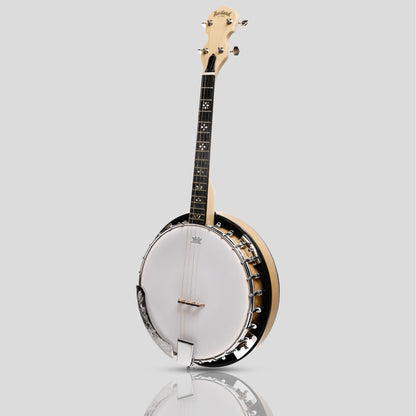 Heartland Deluxe Irish Tenor Banjo 17 tasti con staffa 24 e finitura in acero posteriore solido chiuso