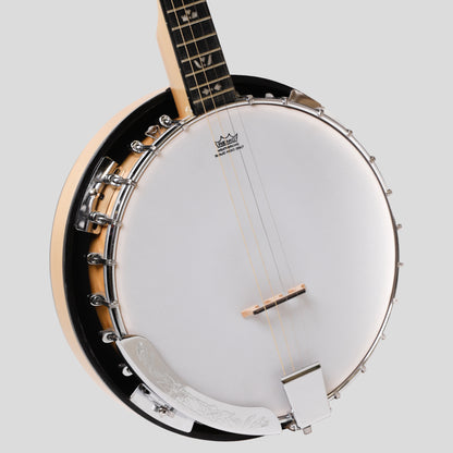 Heartland Deluxe Irish Tenor Banjo 17 tasti con staffa 24 e finitura in acero posteriore solido chiuso