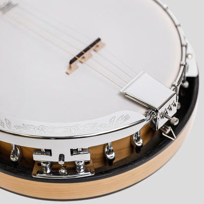 Heartland Deluxe Irish Tenor Banjo 17 tasti con staffa 24 e finitura in acero posteriore solido chiuso