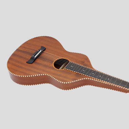 Heartland Weissenborn chitarra - The Stage Master