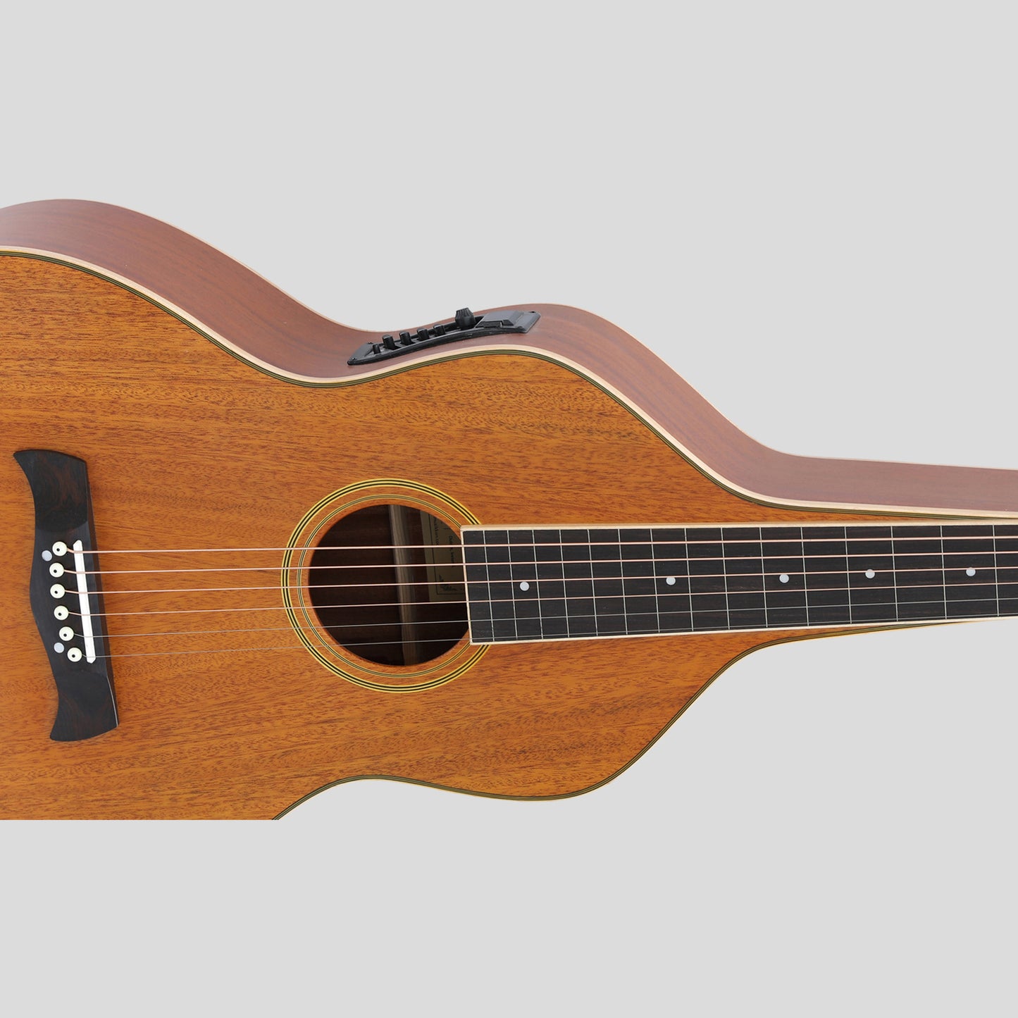 Heartland Weissenborn chitarra - The Work Horse