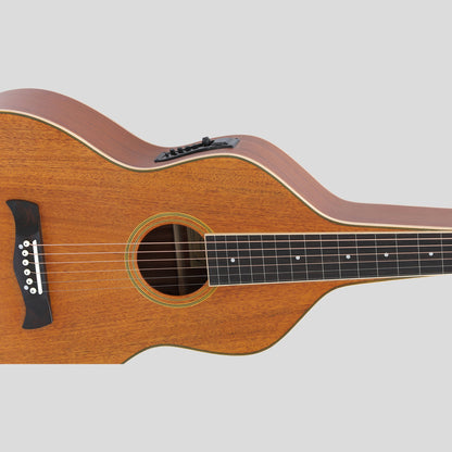 Heartland Weissenborn chitarra - The Work Horse