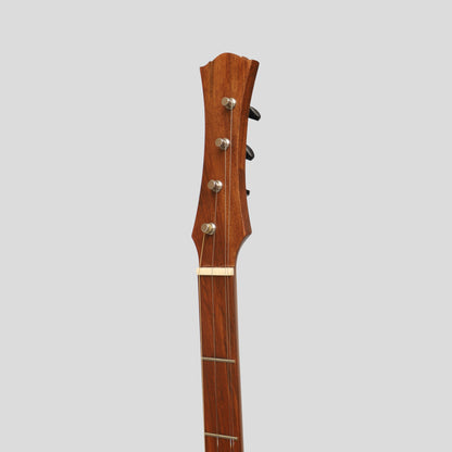 Heartland Wildwood Dulcimer Banjo, 4 String Rosewood