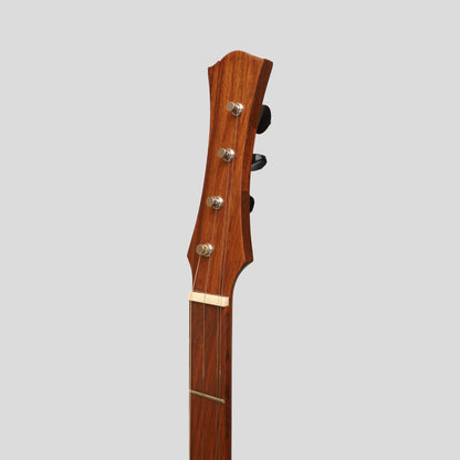 Heartland Wildwood Dulcimer Banjo, lacewood di palissandro variegato a 4 corde