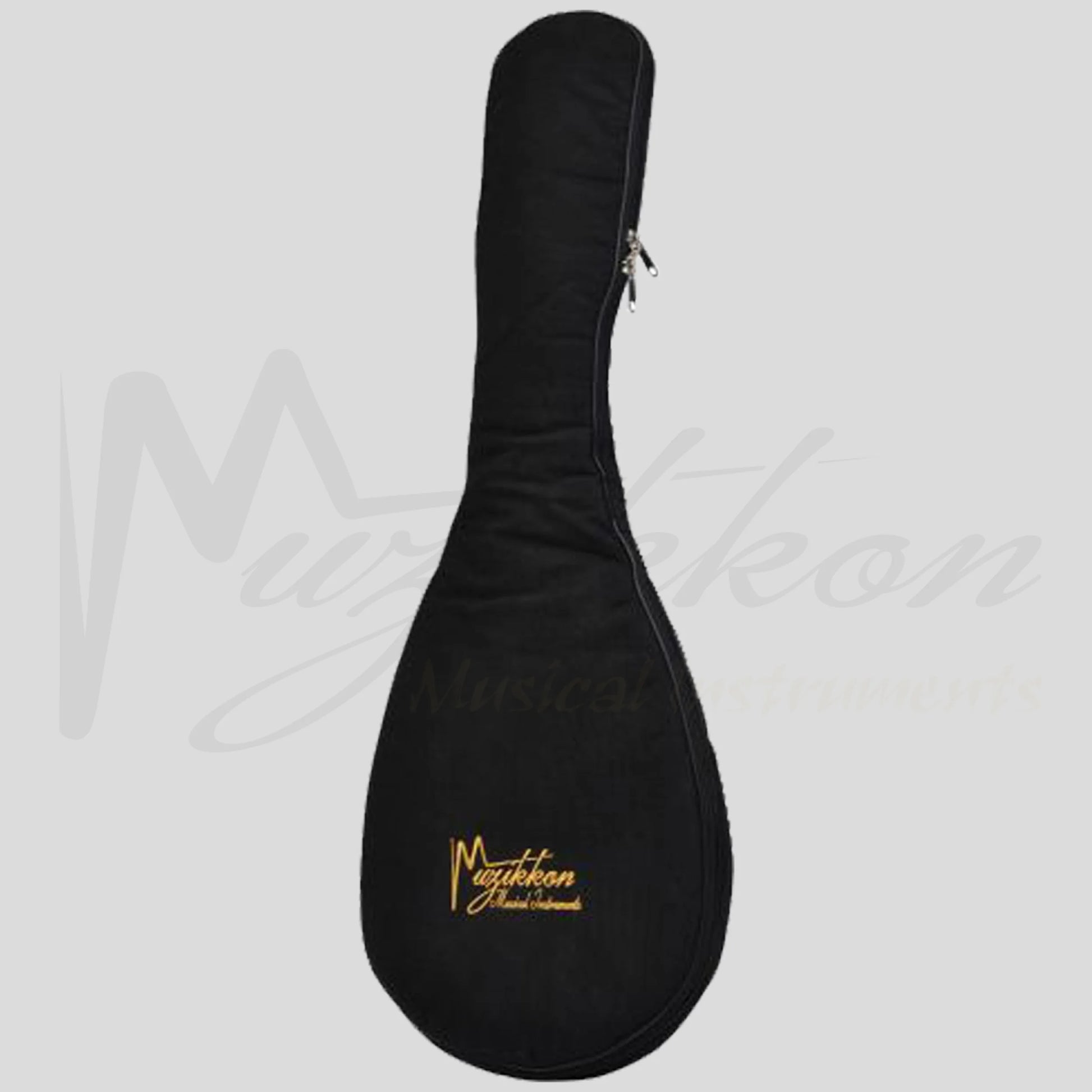 Lute Guitar 6 String Variegated Lacewood Rosewood