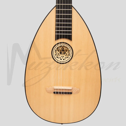 Lute Guitar 6 String Variegated Lacewood Rosewood