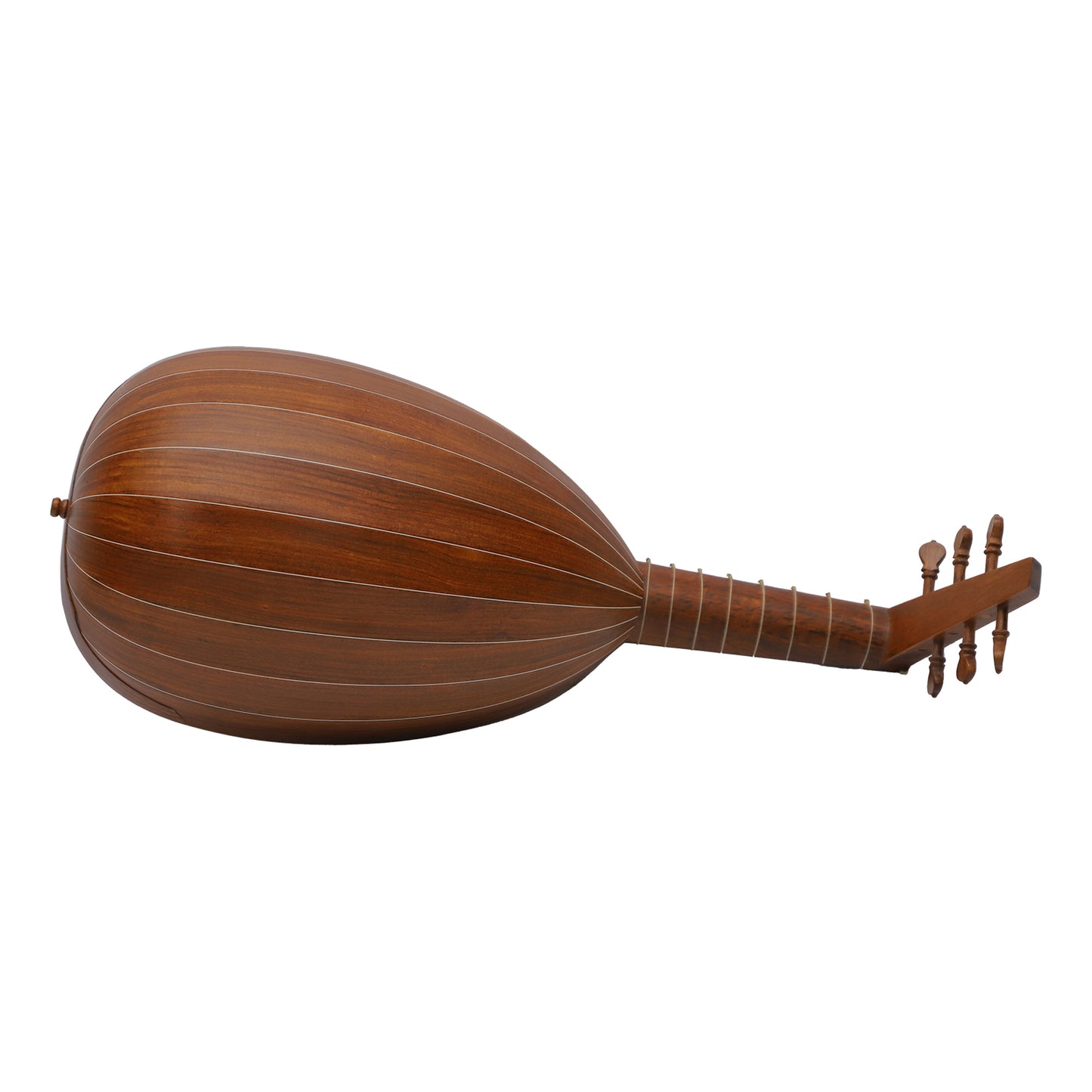 Lute Ukulele, 6 corde tenore sinistro palissandro