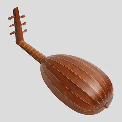 Lute Ukulele, 6 corde tenore palissandro