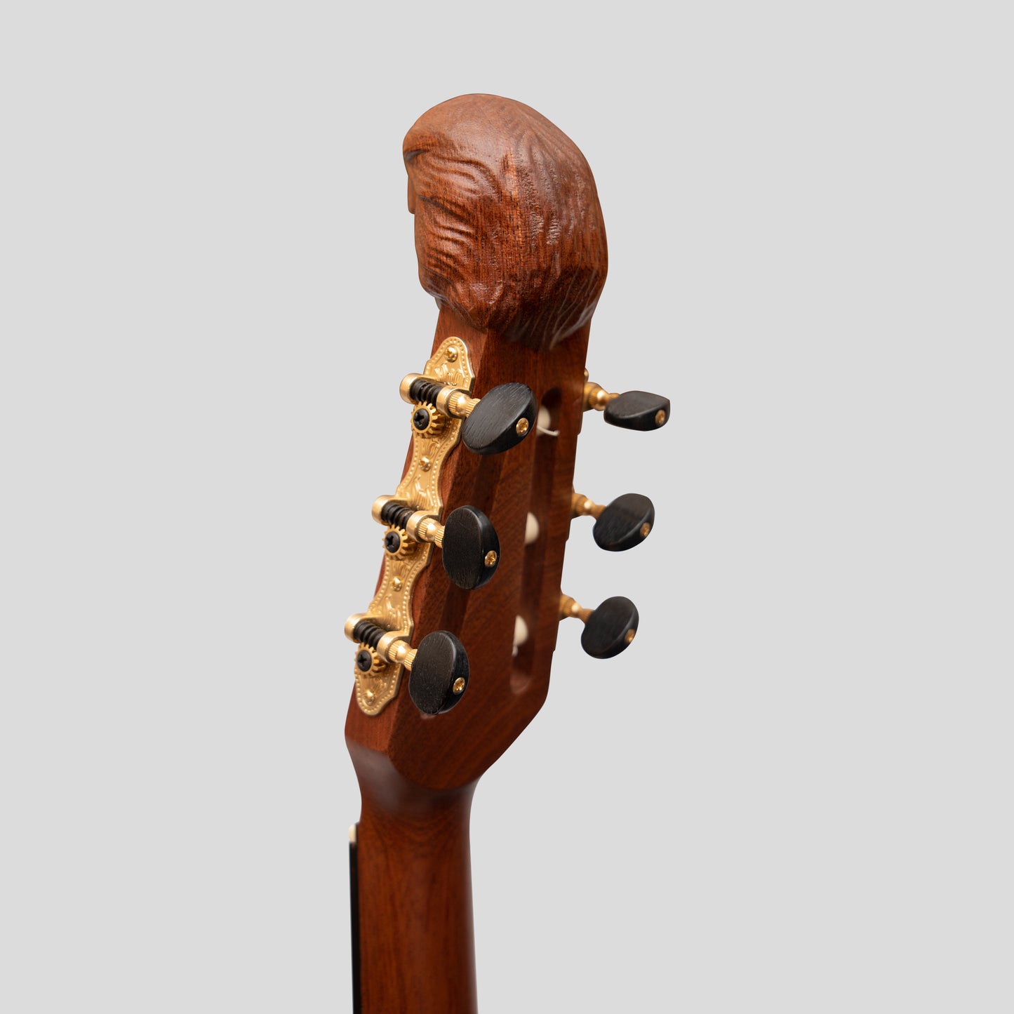 Lute Guitar, 6 String Variegated Lacewood Rosewood