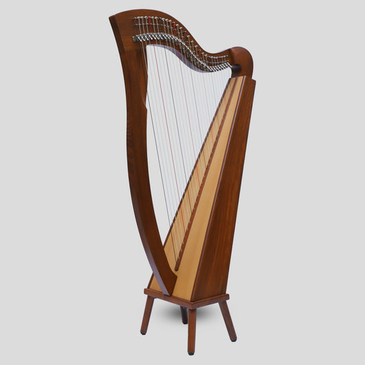 McHugh Harp 29 Strings Rosewood Square Back Aquila Nylon Gut Strings