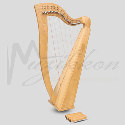 Mchugh Harp 29 Strings Ashwood Square Back