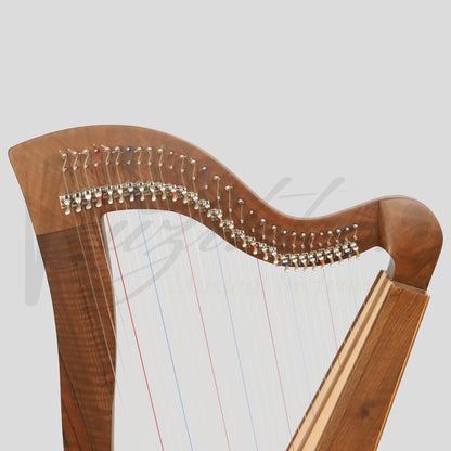 Mchugh Harp 29 Strings Walnut Wood Square Back