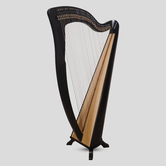 Mchugh Harp 38 Corde Legno di Noce Colorato Nero Rotondo Retro