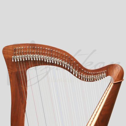 Mchugh Harp 38 Strings Rosewood Round Back