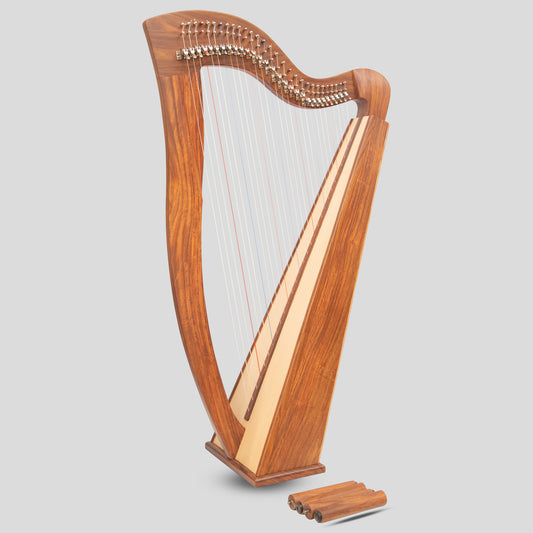 McHugh Harp 29 Strings Rosewood Square Back