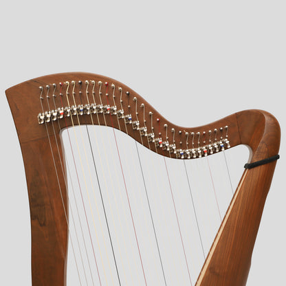 McHugh Harp, 29 corde rotonde di noce posteriore