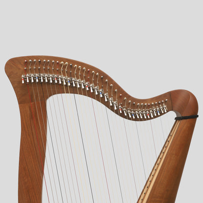 McHugh Harp 34 Corde Legno di Noce Rotondo