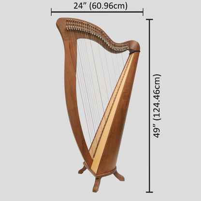 McHugh Harp 34 Corde Legno di Noce Rotondo